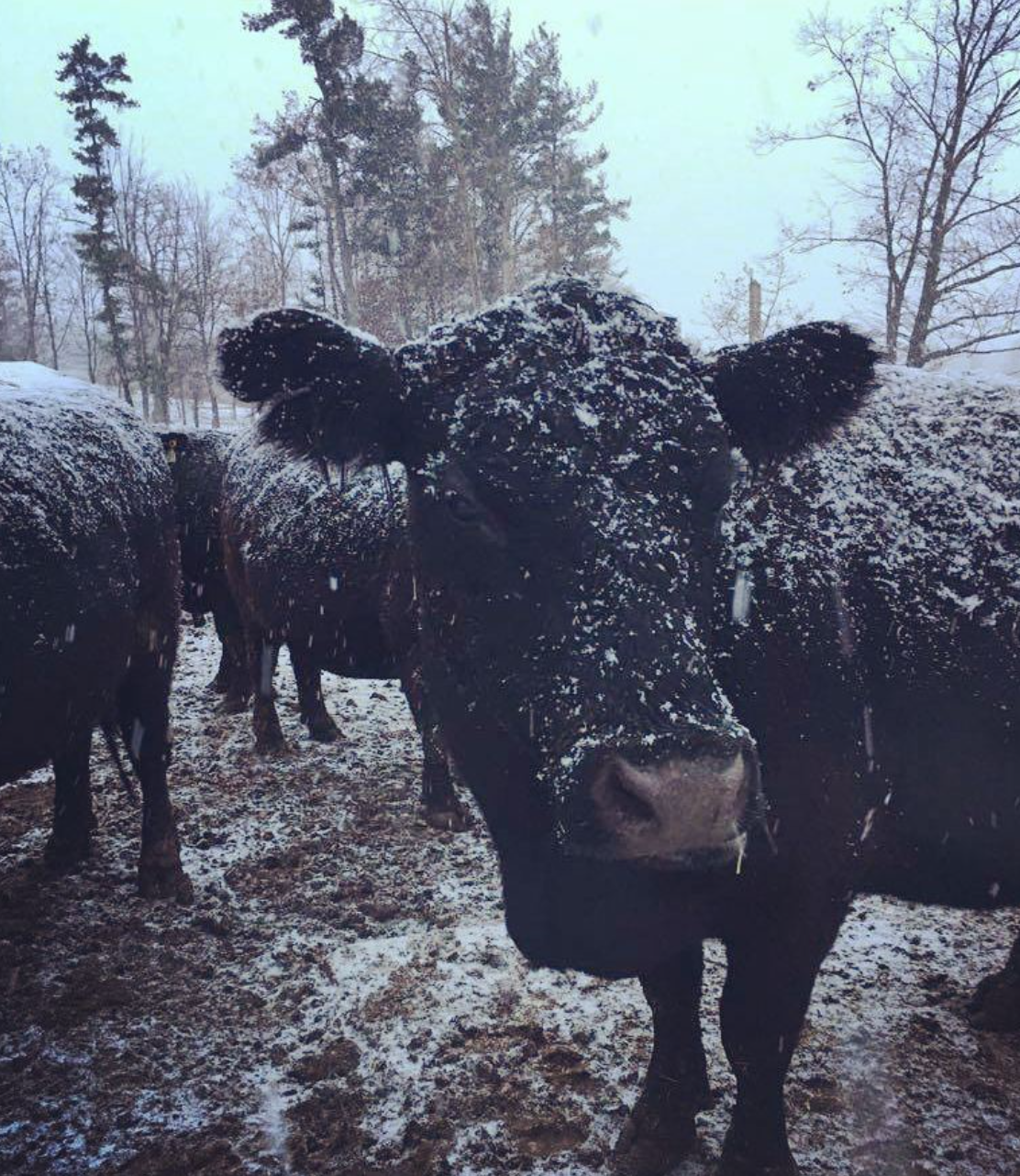 Oakridge Acres